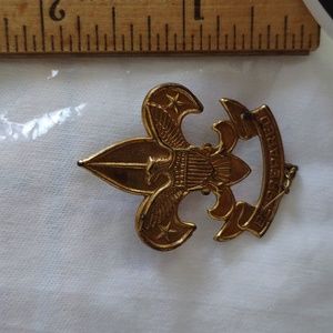 Vintage Boy Scouts  gold tone? Pin